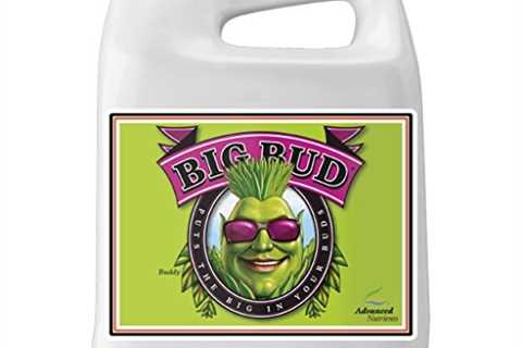 Advanced Nutrients GL525050-12 Big Bud Liquid Fertilizer, 250 mL.250 Liter, Brown/A