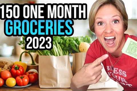 I Spent $150 At The Grocery Store... The Result? You Have To See!