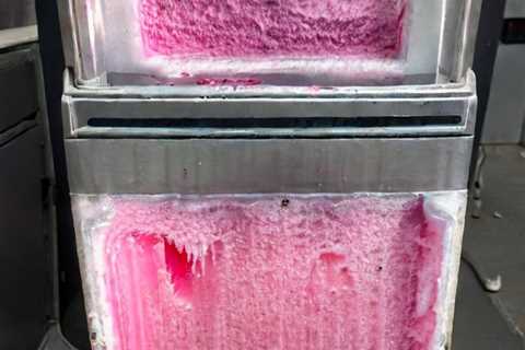 Pink Mold In Ice Machine
