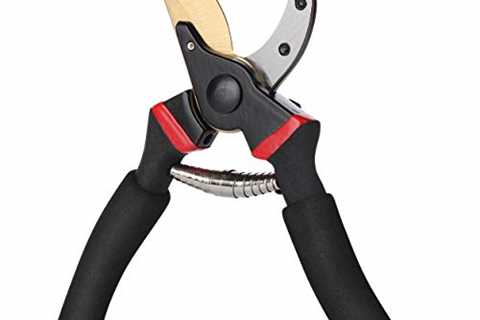 Mr. Pen- Pruning Shears, Garden Shears, 8 Professional, Garden Scissors, Gardening Shears, Garden..