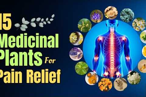 15 Medicinal Plants for Pain Relief - Nature''s Soothing Remedies | Healing Plants | Blissed Zone
