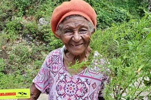 🔥 87 Year-Old GREAT GRANDMA Shares SHOCKING Testimonies Of Herbs  🇯🇲 #herbal #herbs
