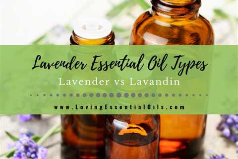 Lavender Essential Oil Types - Lavender vs Lavandin