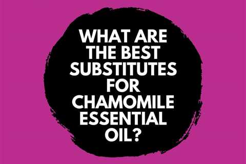 Substitutes For Chamomile Essential Oil - What are the Best?