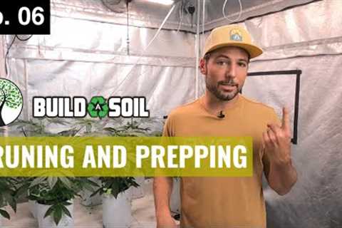 BuildASoil: CHOPPING & DROPPING COVER CROP, AND PRUNING SEEDLINGS (Season 5, Episode 6)