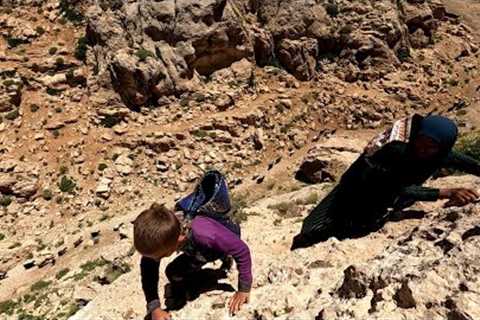Risk of falling for nomadic mother and child in search of medicinal plants