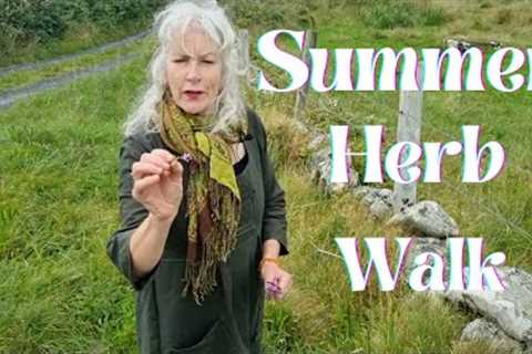 Summer Herb Walk