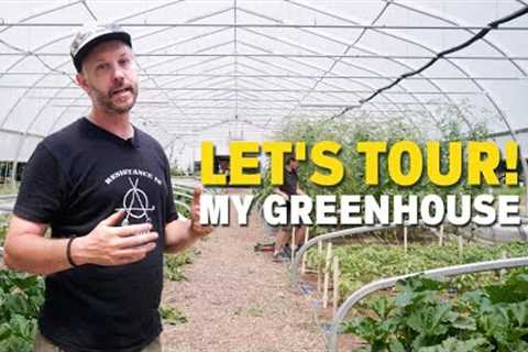 Why A Greenhouse Is The BEST Investment For Your Farm | Climate Resilience And Epic Yields