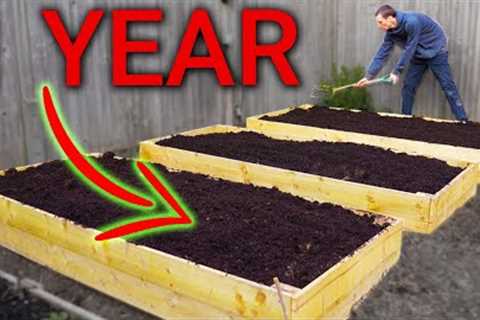 How Much Food Can I Grow in 1 Year?