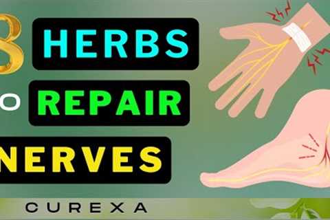 Boost Your Nerves! 8 Miracle Herbs You Need to Know Now!
