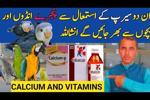 Best Vitamins, Minerals and Calcium Syrup for Birds Breeding and Bird Health||Bukhari 5 AVIARY