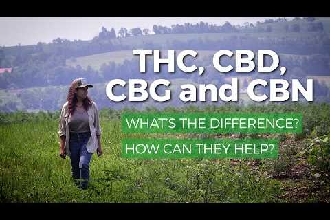 Marijuana THC vs CBD, CBG, CBN: Whatâs the difference? What are health benefits of each?