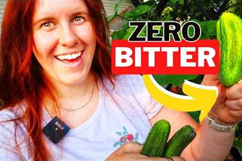 Escape the Bitterness: Secrets to Perfect Garden Cucumbers 🥒