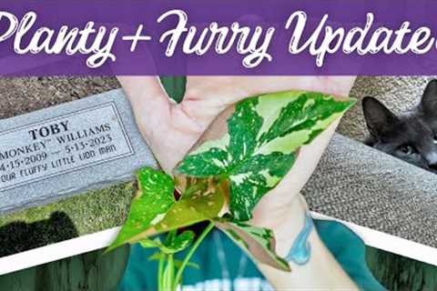 From new plants to new furry friends: Life updates you won''t want to miss!