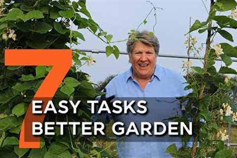 7 Brilliant Tips for Late Summer in Vegetable Garden