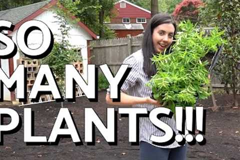 We''re Unboxing 420 NATIVE Plants from Garden for Wildlife!