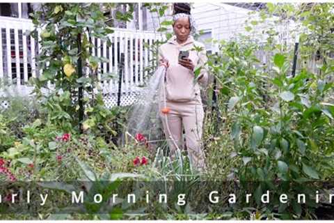 Early Morning Gardening | Bye Beans | Best Practices May Not Always Work (Doing What''s Best For Me)