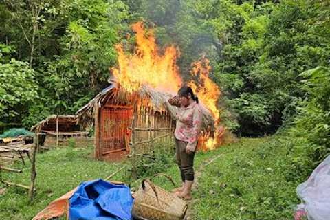 Collecting herbs to sell, coming home, the house is burned by the bad guys