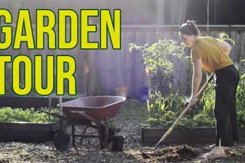 Garden Tour - Quarter Acre Food Forest 1 Year Update