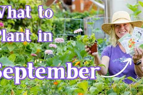 What To Plant in the Garden in September - Vegetables, Herbs & Flowers