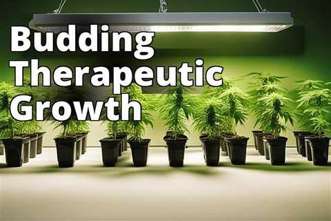Discover the Art of Growing Marijuana for Personal Healing: A Comprehensive Guide