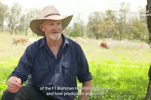 Glenn Morris Australian Farmer using regenerative farming practices to build resilience