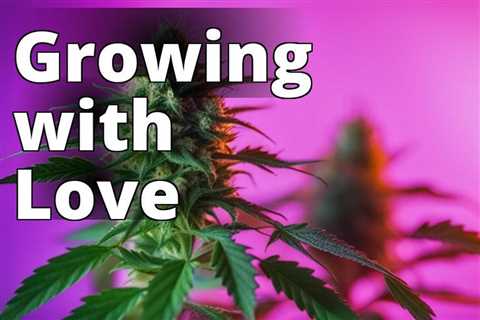 Growing Marijuana for Cultural Appreciation: A Rewarding Hobby