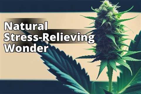 How to Grow and Use Marijuana for Natural Stress Relief: A Step-by-Step Guide