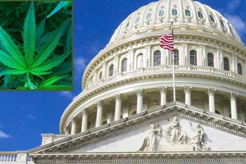 Congressional Committee Approves Bill To Remove Marijuana As Barrier To Federal Employment Or..