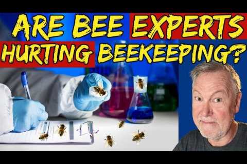 Beekeeping May Be Suffering From Too Much Science
