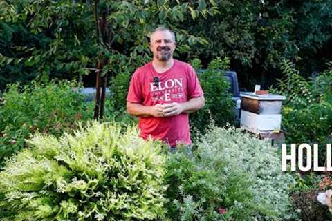 Garden Tour after Tropical Storm Ophelia