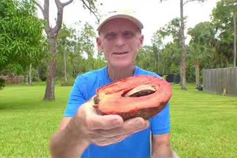 What A 74 Year Old Raw Vegan Eats For Lunch To Avoid Acids And Congestion In The Body   HD 1080p