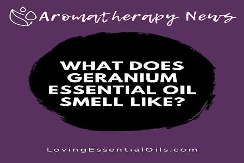 What Does Geranium Essential Oil Smell Like? Emotional Benefits