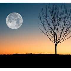 Super Harvest Full Moon Havan and Full Moon Global Meditation at TMC – Friday, September 29, 2023