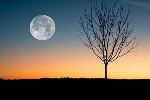 Super Harvest Full Moon Havan and Full Moon Global Meditation at TMC – Friday, September 29, 2023