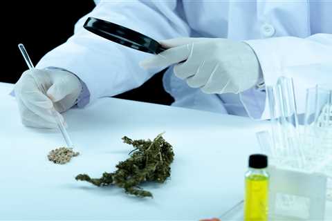 Medical Marijuana – A Prime Alternative Treatment Center
