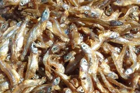 FRIED OMENA 750/- per kg . LEFi Fish – Feel Great Location: Ongata Rongai,…