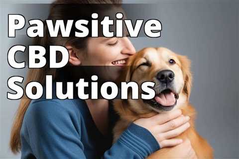 How CBD Can Help Improve Your Pet’s Behavior: A Comprehensive Guide