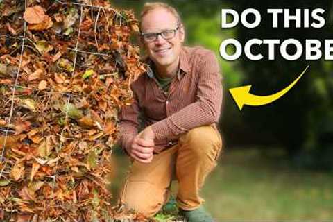 Garden Checklist: 10 Tasks You Need To Do In October