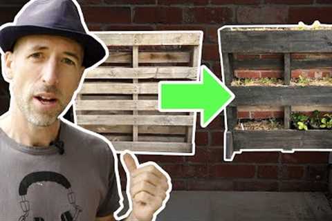 How to make a Cheap and Easy pallet Wall Garden