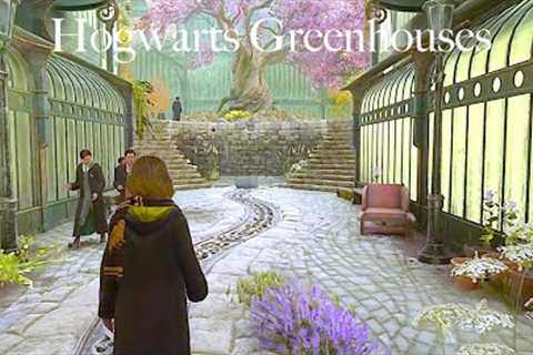 Exploring The Herbology Greenhouses | Hogwarts Legacy Tour (ambience)