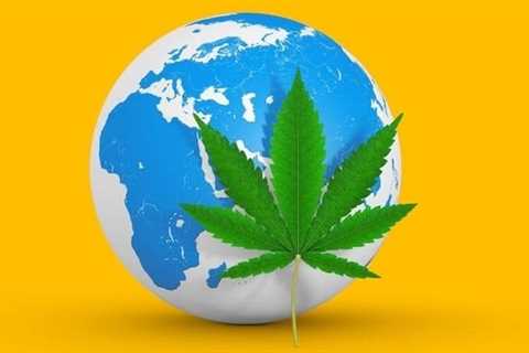 5 Countries Influencing Modern Cannabis Culture