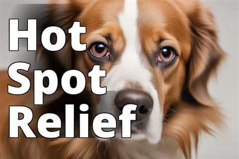 From Itchy to Happy: CBD Oil Benefits for Hot Spots in Dogs