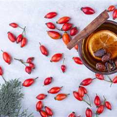 Unveiling the Secret Powers: Goji Berry Extract Benefits for Skin - Super Foodish
