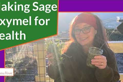 Making Sage Oxymel (Infusion of Honey and Vinegar) for Health, Benefits and Uses