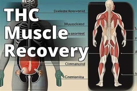 Unlocking the Power of Delta 9 THC for Muscle Recovery