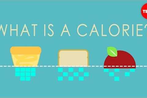 What is a calorie? - Emma Bryce