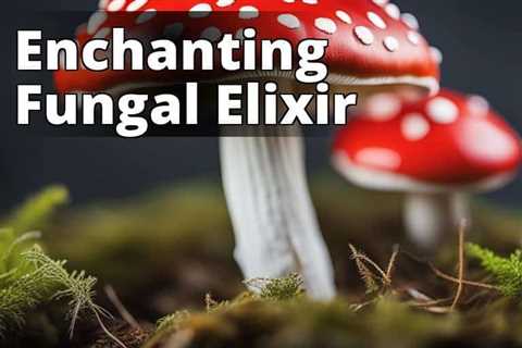 Amanita Muscaria Extract: Unveiling the Neuroprotective Secrets and Beyond