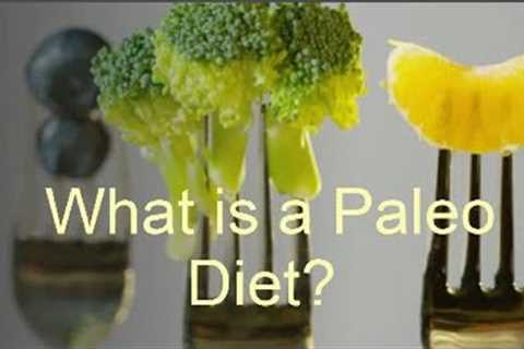 What is a Paleo diet