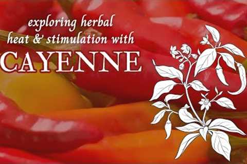 Cayenne | The Medicine, Magic, and Heat